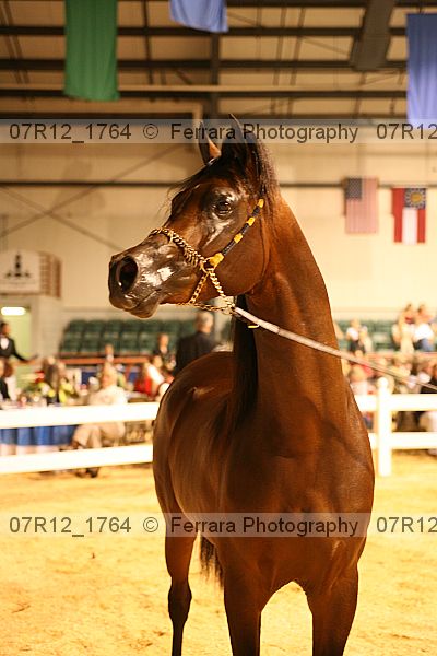 Proof 07r12_1764