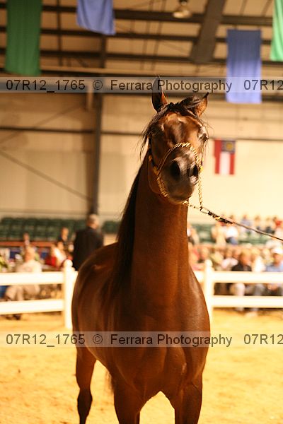 Proof 07r12_1765