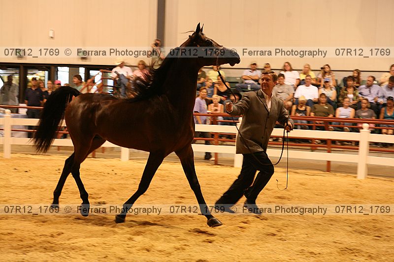 Proof 07r12_1769