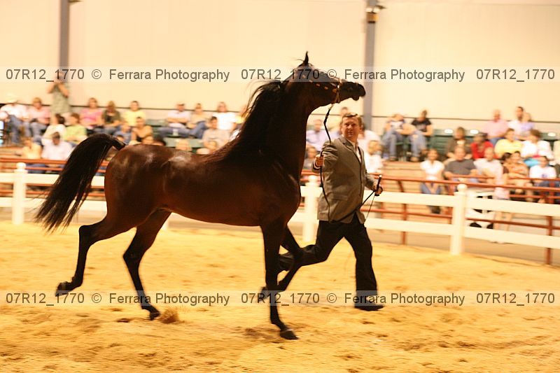 Proof 07r12_1770
