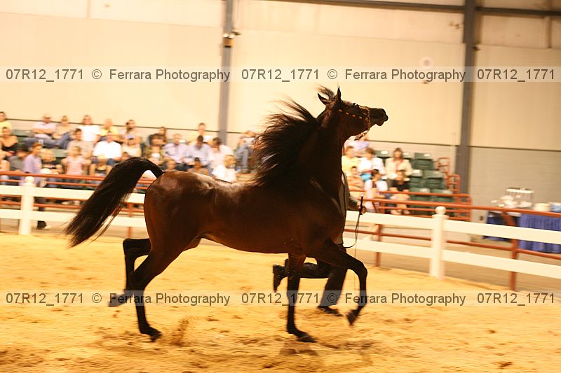 Proof 07r12_1771