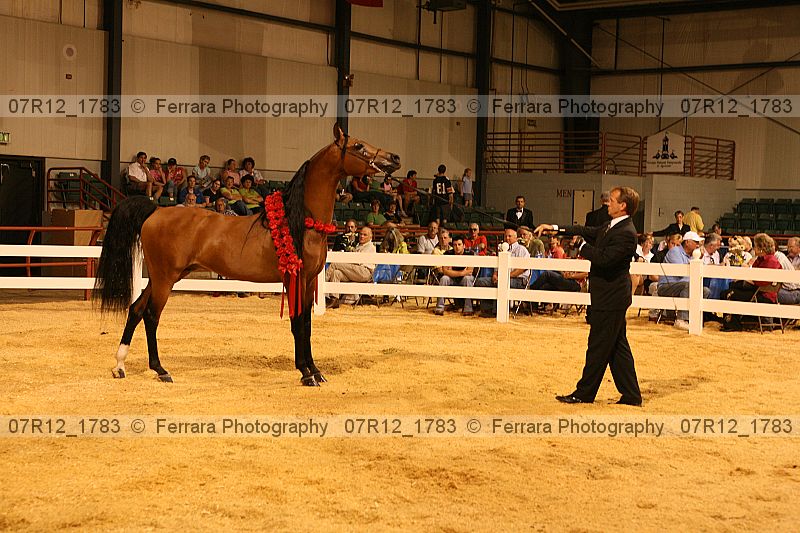 Proof 07r12_1783