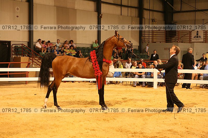 Proof 07r12_1785