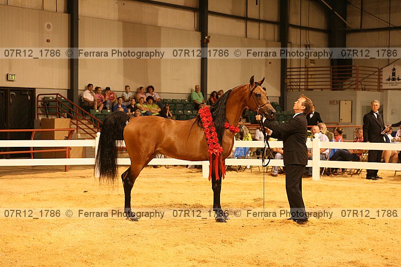 Proof 07r12_1786