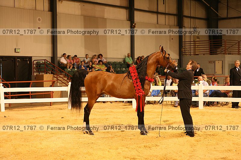 Proof 07r12_1787