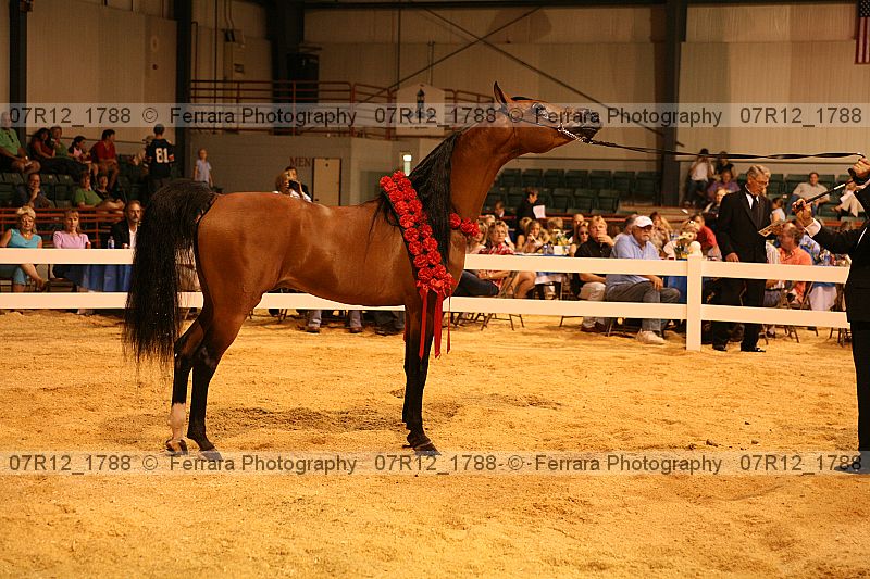 Proof 07r12_1788