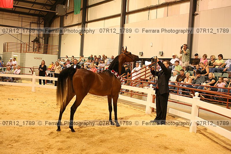 Proof 07r12_1789