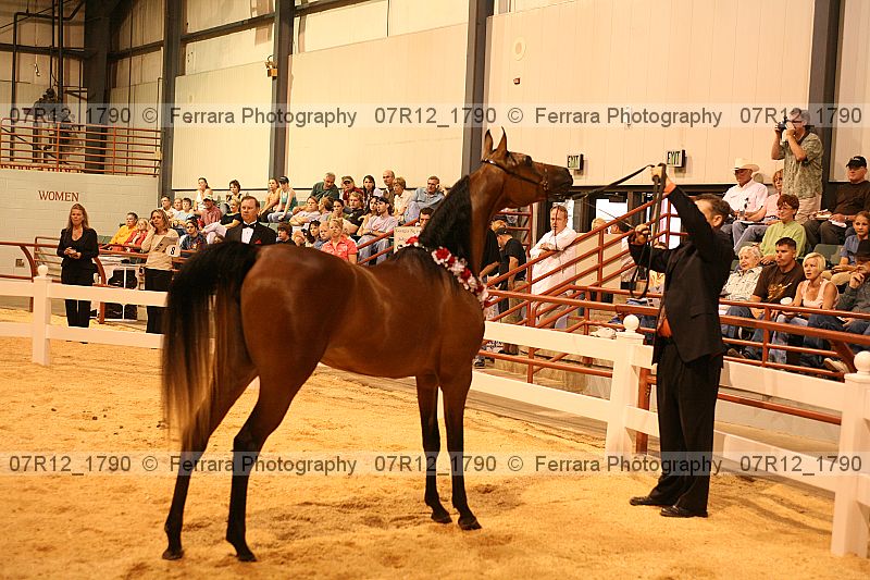 Proof 07r12_1790