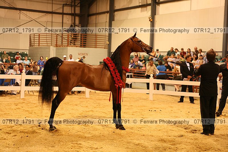 Proof 07r12_1791