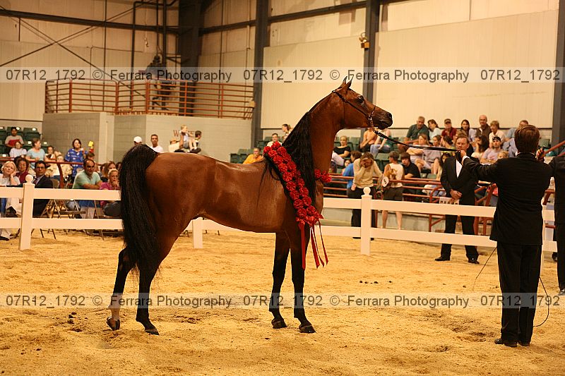 Proof 07r12_1792