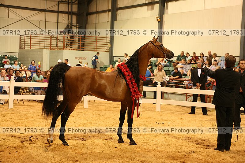 Proof 07r12_1793