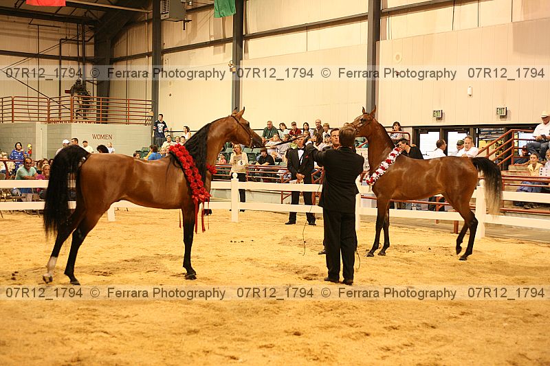 Proof 07r12_1794