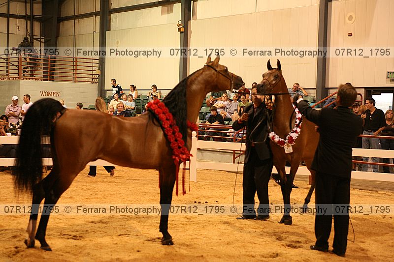 Proof 07r12_1795