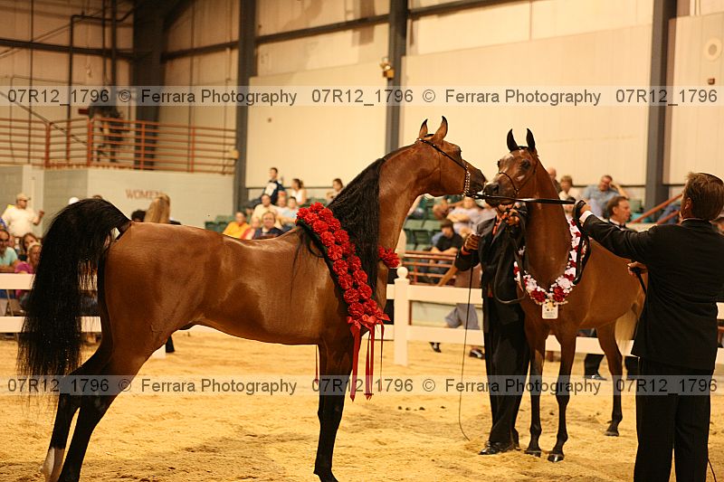 Proof 07r12_1796