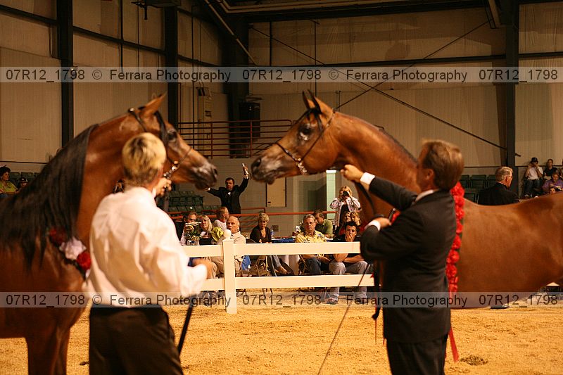 Proof 07r12_1798