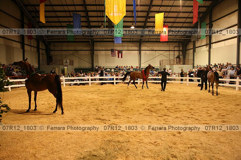 Proof 07r12_1803