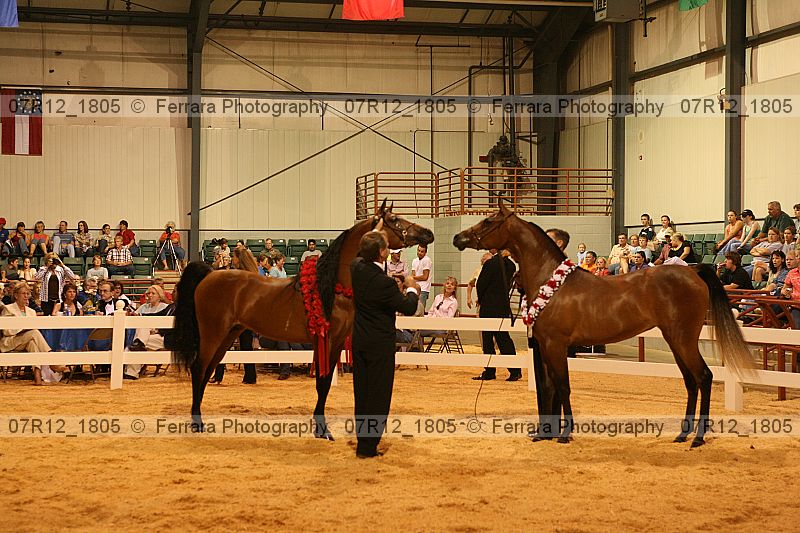 Proof 07r12_1805
