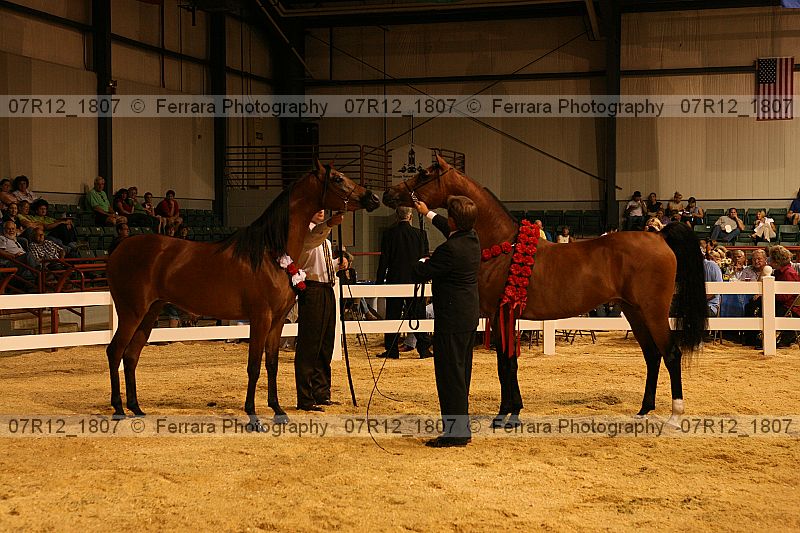 Proof 07r12_1807