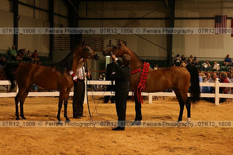 Proof 07r12_1808