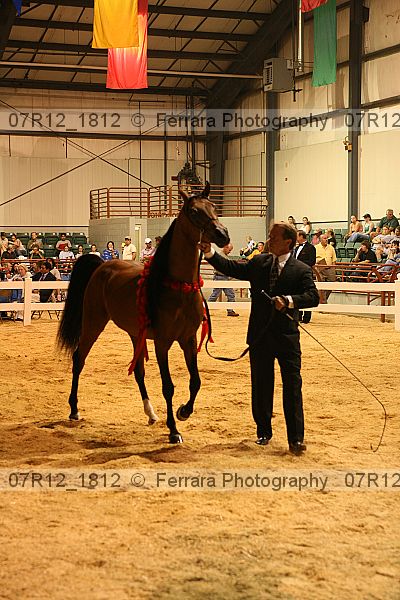 Proof 07r12_1812