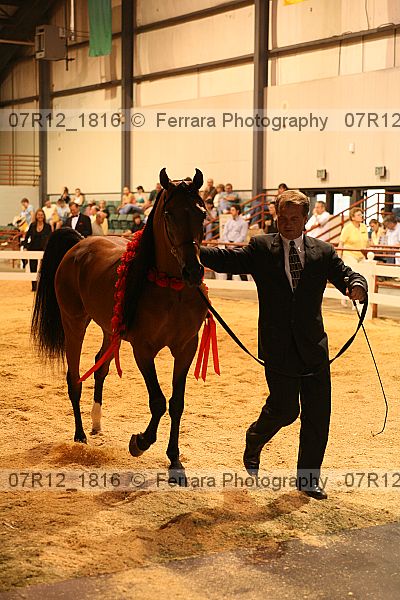 Proof 07r12_1816