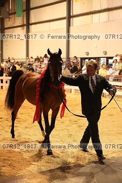 Proof 07r12_1817