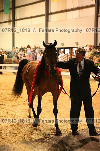 Proof 07r12_1818