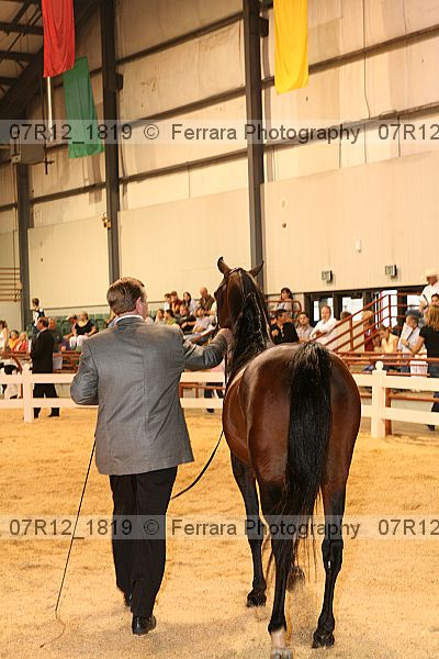 Proof 07r12_1819