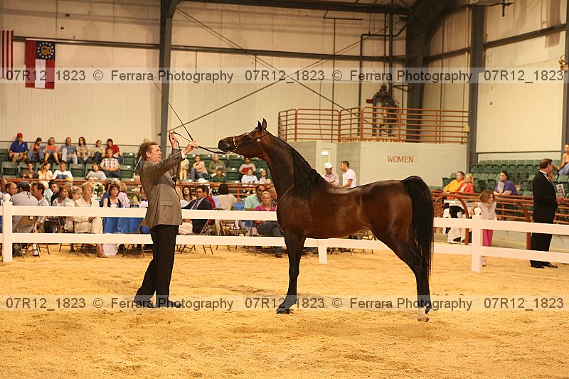 Proof 07r12_1823