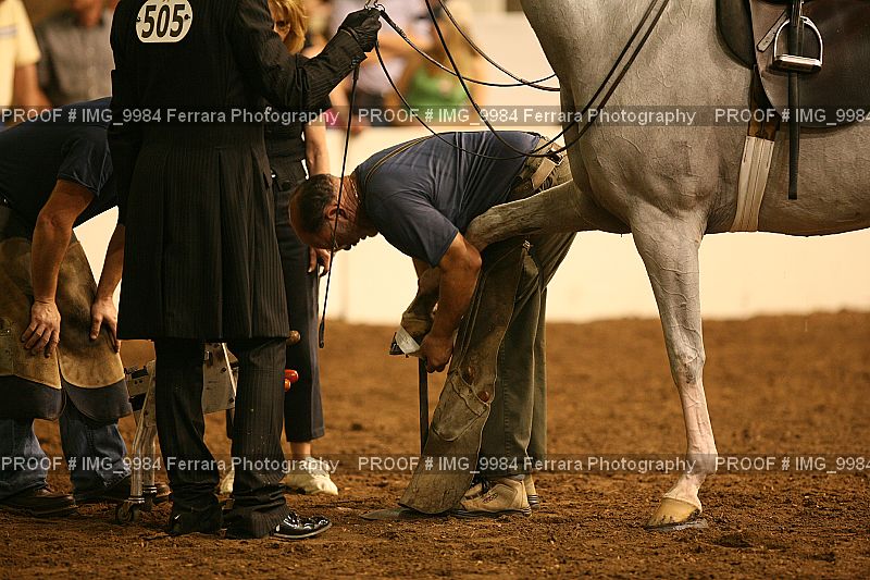 Proof IMG_9984