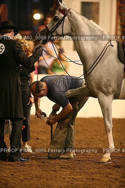 Proof IMG_9985
