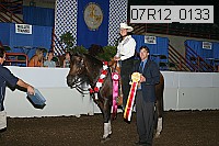 07r12_0133 proof