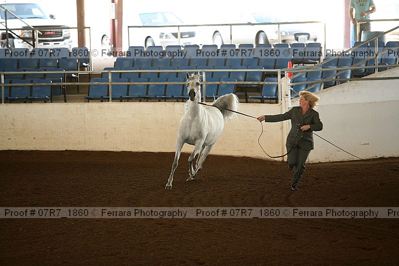 Proof 07r7_1860