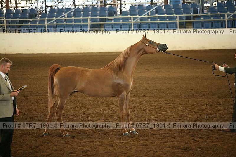 Proof 07r7_1901