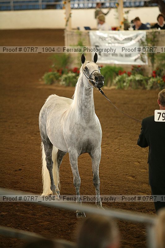Proof 07r7_1904