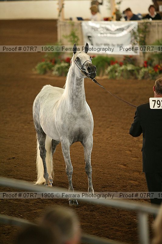 Proof 07r7_1905