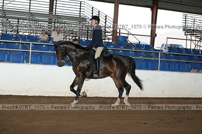Proof 07r7_1075