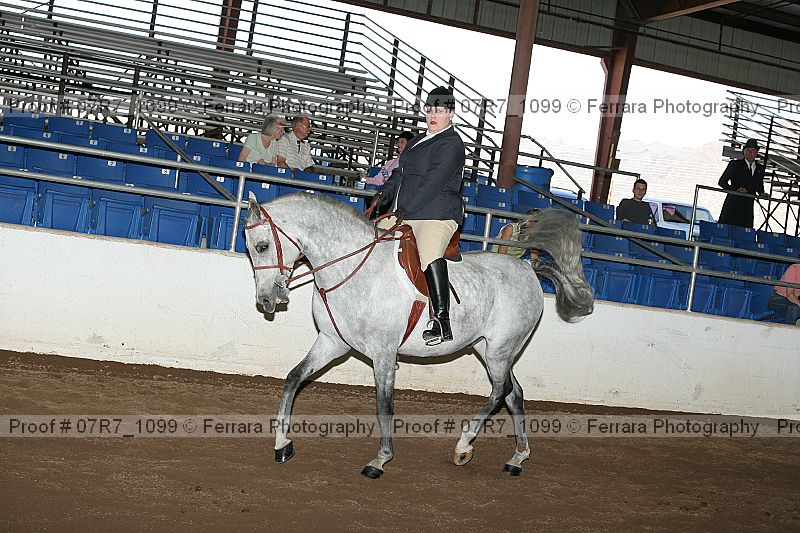 Proof 07r7_1099