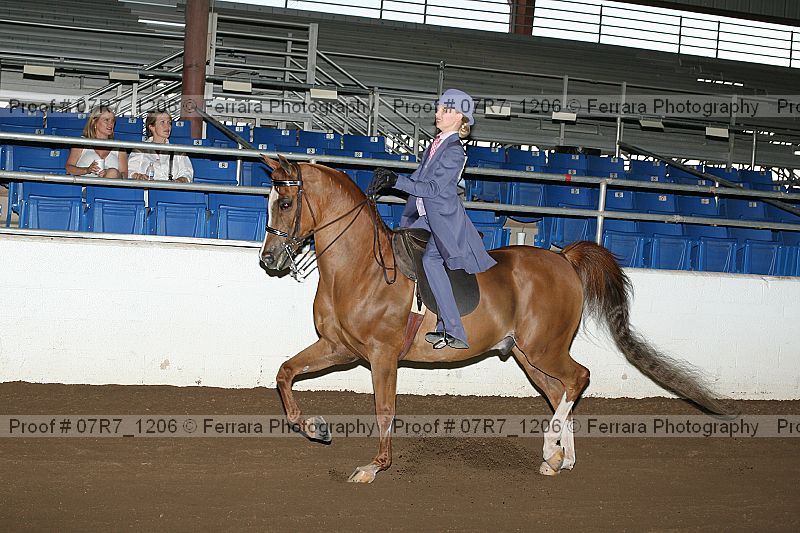 Proof 07r7_1206