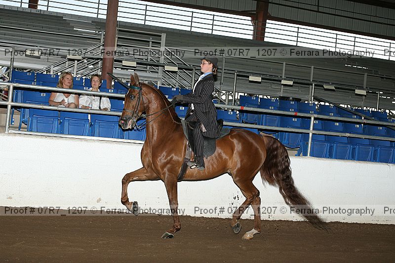 Proof 07r7_1207