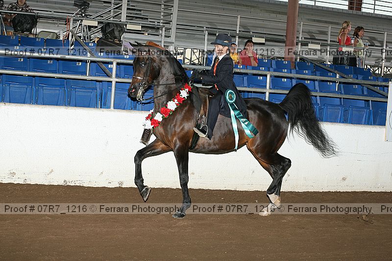 Proof 07r7_1216