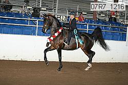 07r7_1216 proof