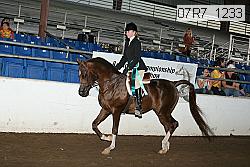 07r7_1233 proof