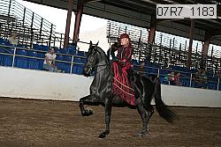 07r7_1183 proof