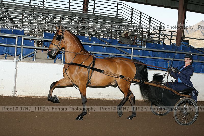 Proof 07r7_1192