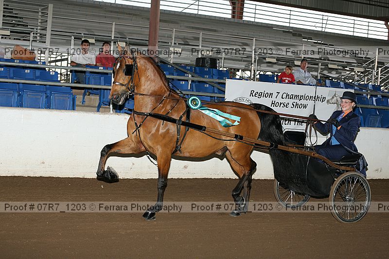 Proof 07r7_1203