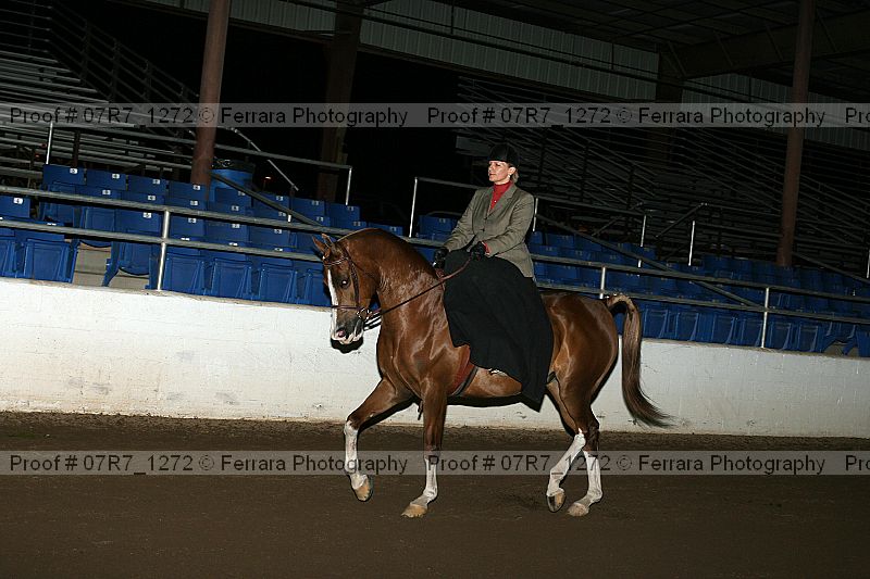 Proof 07r7_1272
