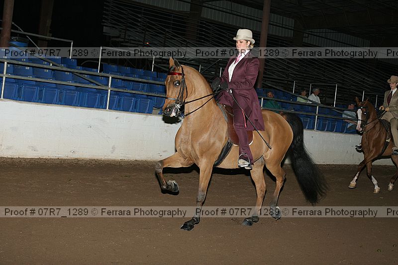 Proof 07r7_1289