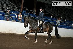 07r7_1307 proof