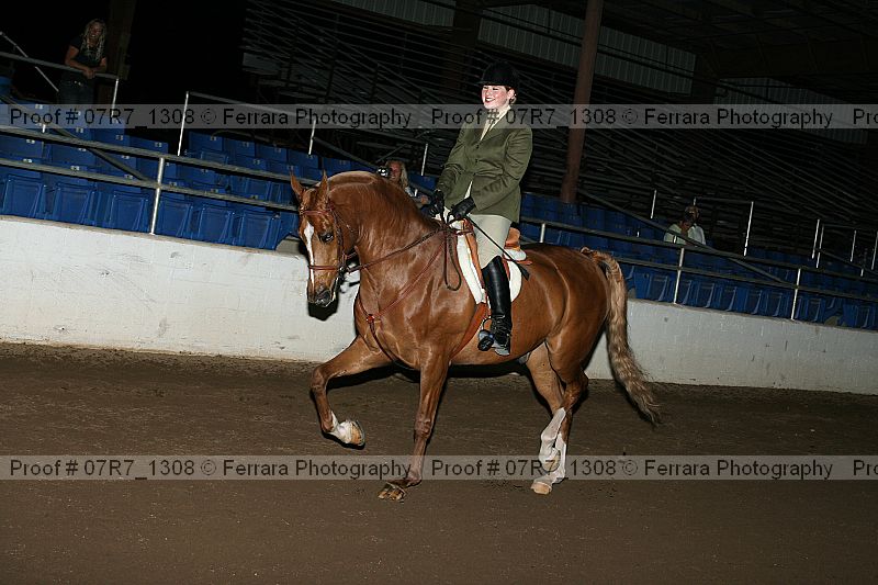 Proof 07r7_1308